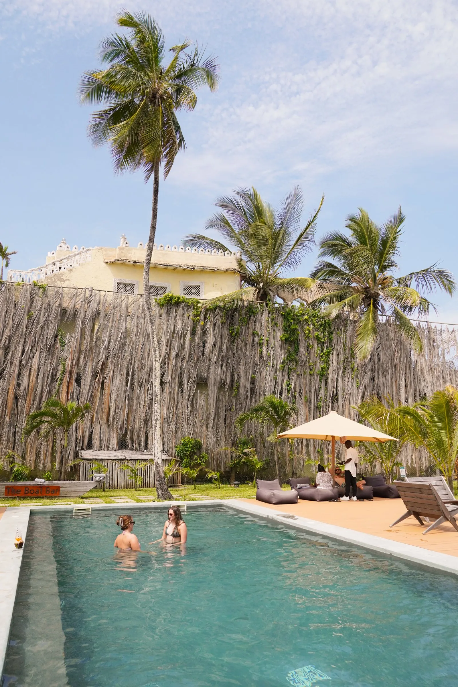 Palms over the pool