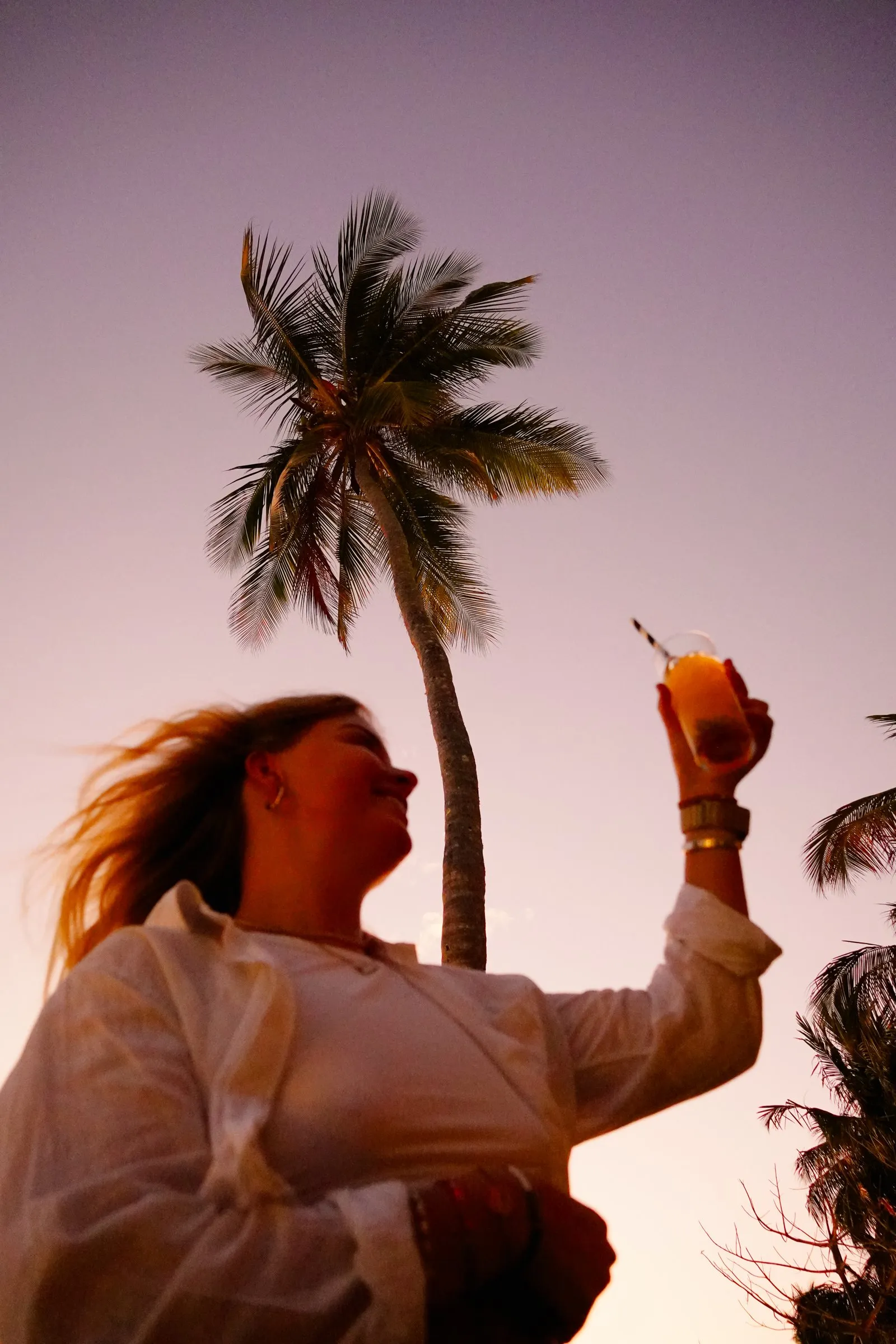 A sundowner raised against the evening sky