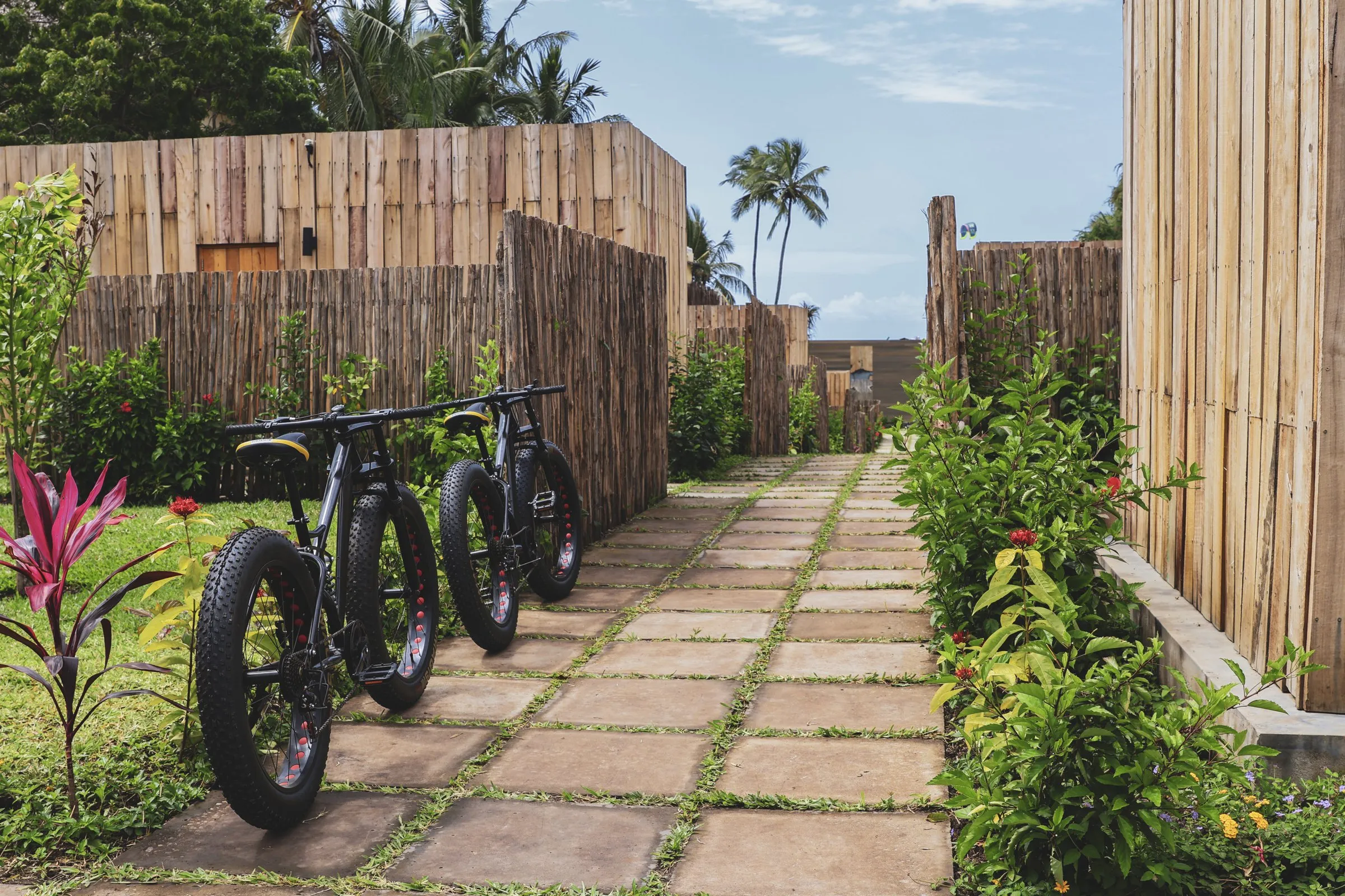 Bikes and forest